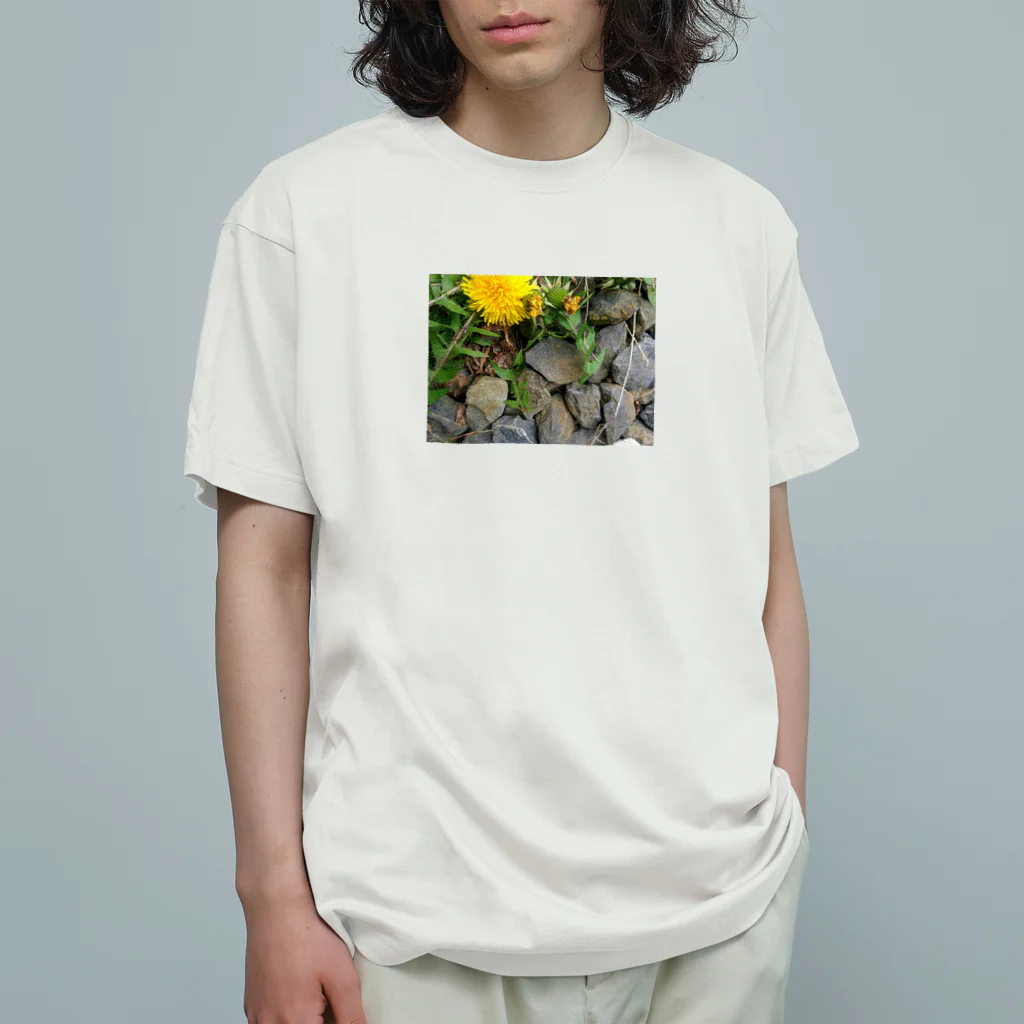 知恵袋の岩岩LION Organic Cotton T-Shirt