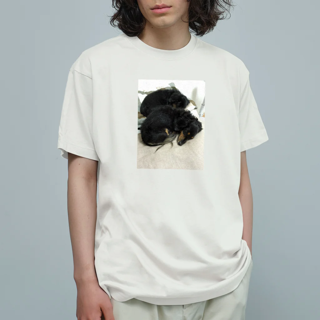 nellymeguのカニヘンダックス達 Organic Cotton T-Shirt