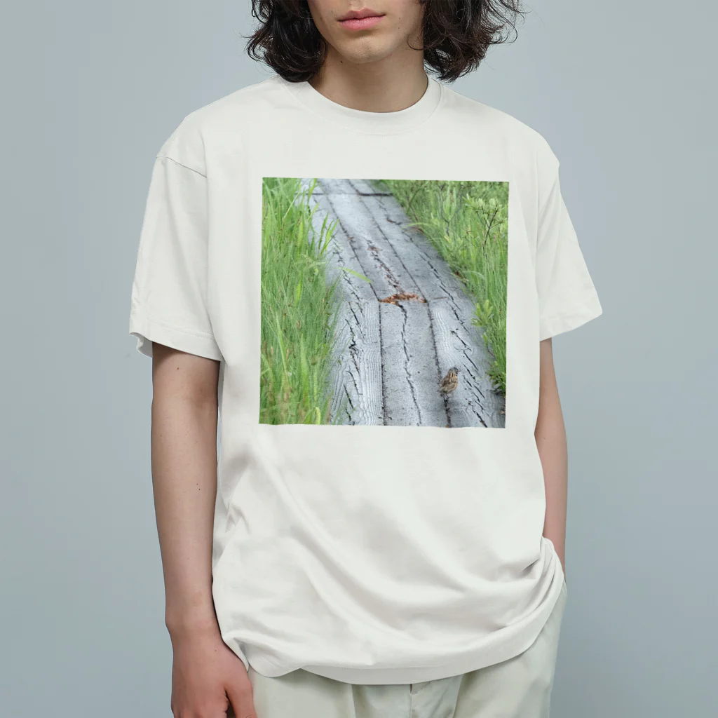 asako=niagaraのホオアカの寄り道② オーガニックコットンTシャツ