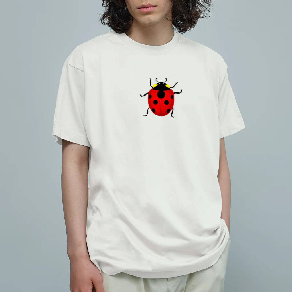 てんとう虫のてんとう虫 オーガニックコットンTシャツ