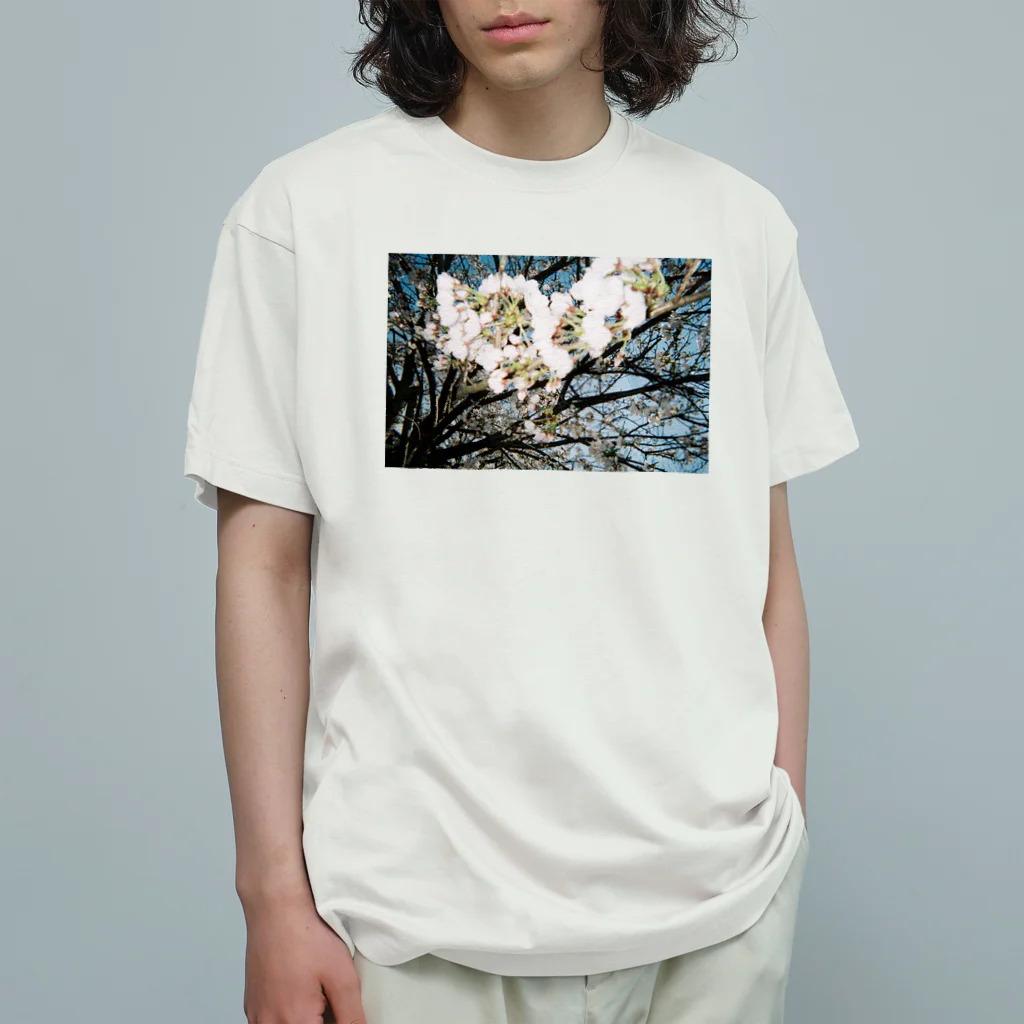 てぃーぬのsakura オーガニックコットンTシャツ