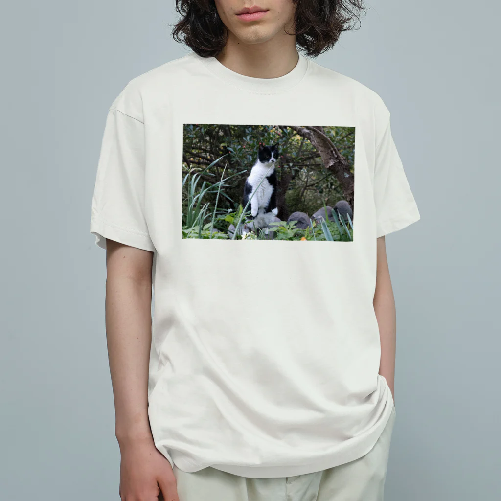 はっちゃんhachiko8535のhachiko_1 オーガニックコットンTシャツ