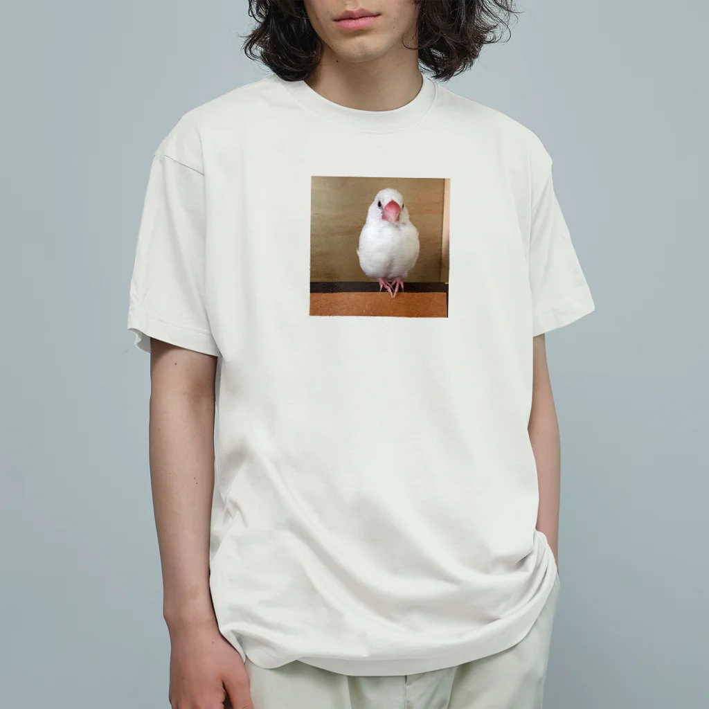 白文鳥のおもちさんの白文鳥のおもちさん Organic Cotton T-Shirt