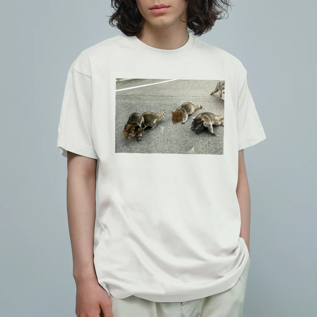 愛猫のグッズが欲しいのアライグマナスカルと子どもたち Organic Cotton T-Shirt