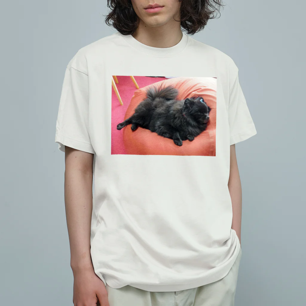 かねこまの寝る犬 オーガニックコットンTシャツ