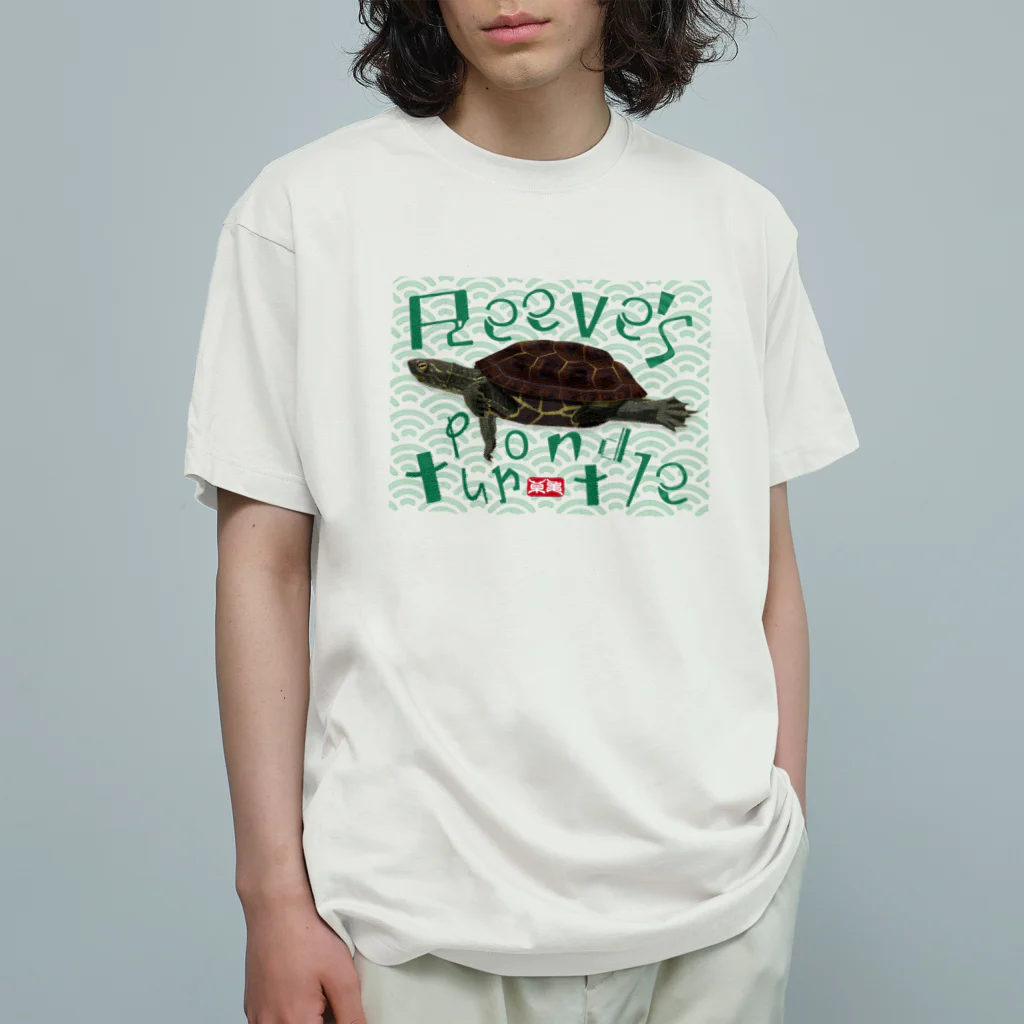 はやしりえの泳ぐクサガメさん オーガニックコットンTシャツ