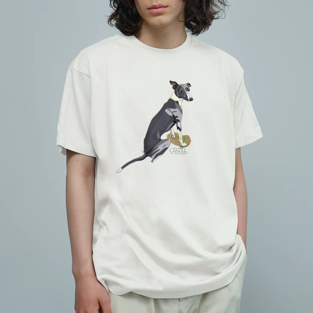 ハデ犬グッズ部門のイタグレ オーガニックコットンTシャツ