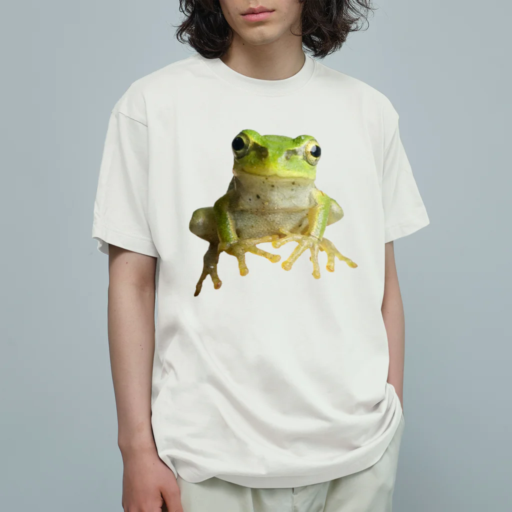 石田 汲の2D-Frog ver.01 オーガニックコットンTシャツ