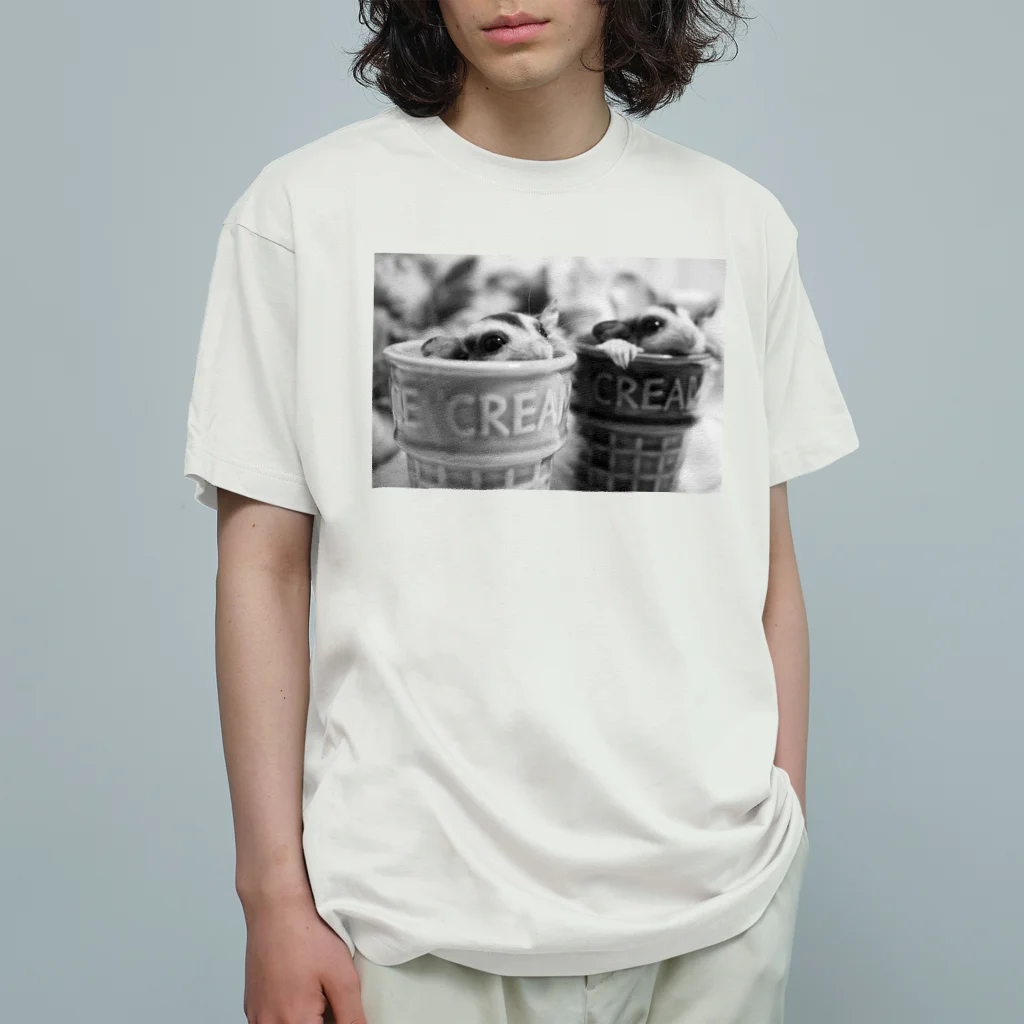 OHAMOMOのフクロモモンガ オリジナルグッズ オーガニックコットンTシャツ