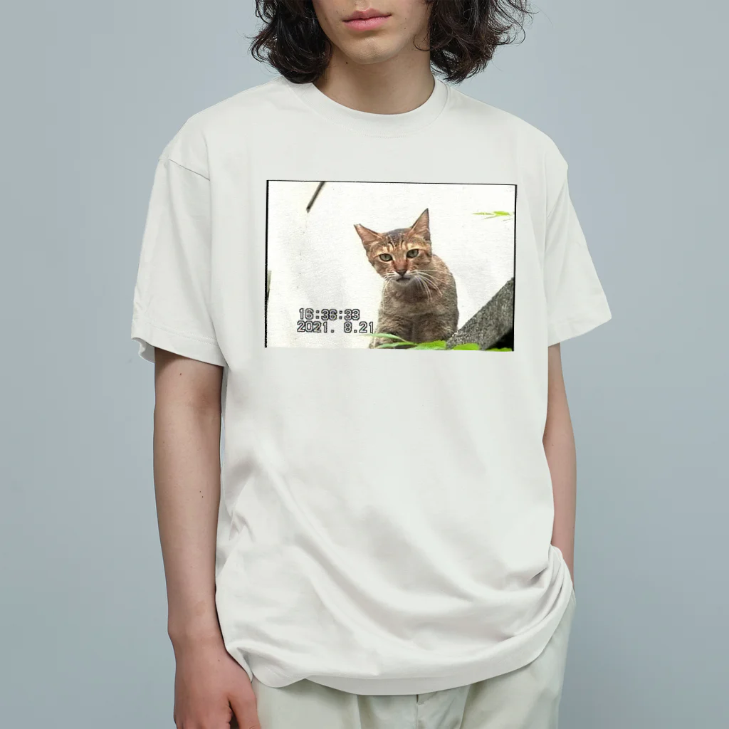 ディスク百合おんのminiDVテープ「猫」 オーガニックコットンTシャツ