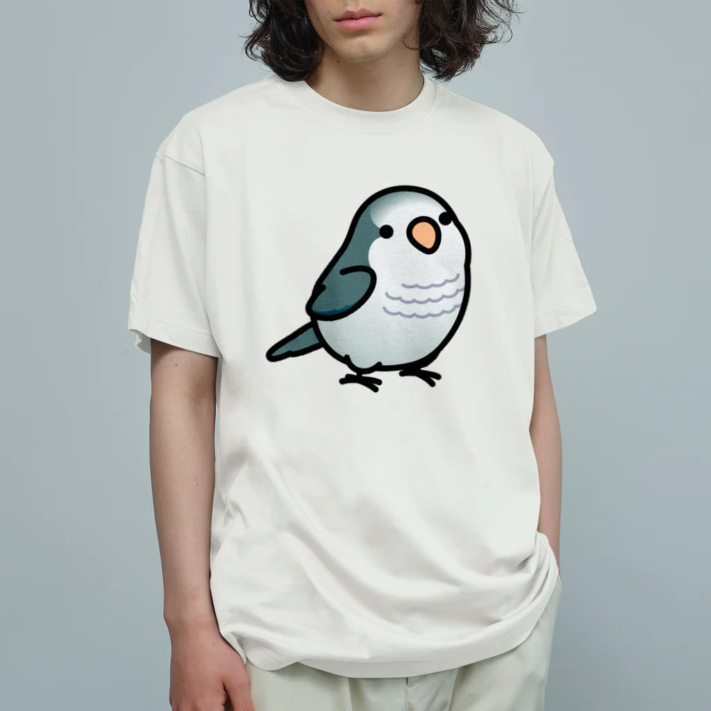 Cody the LovebirdのChubby Bird オキナインコ オーガニックコットンTシャツ