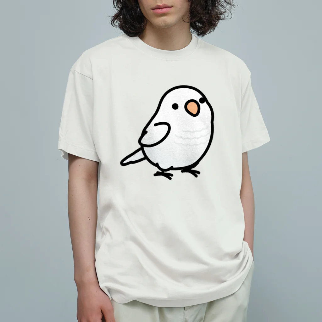 Cody the LovebirdのChubby Bird オキナインコ オーガニックコットンTシャツ