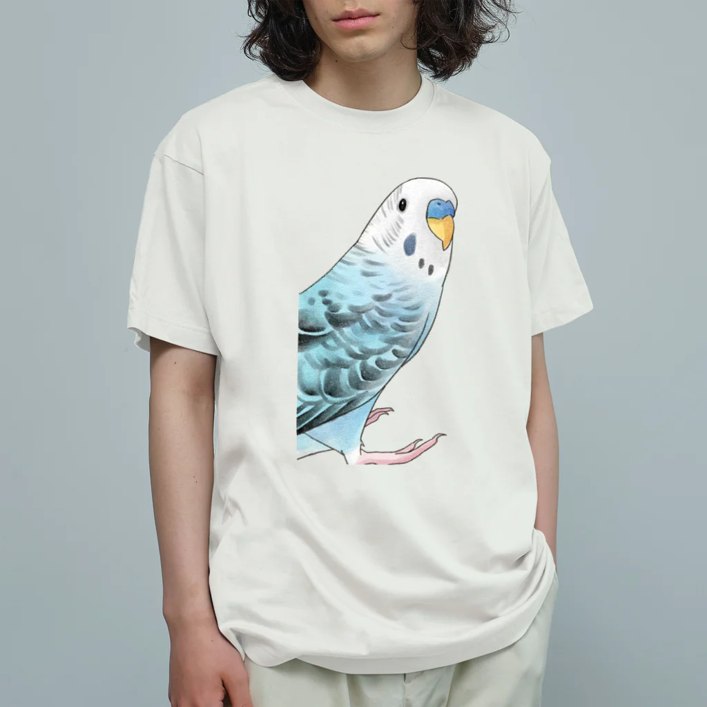 まめるりはことりの振りむきセキセイインコちゃん【まめるりはことり】 オーガニックコットンTシャツ