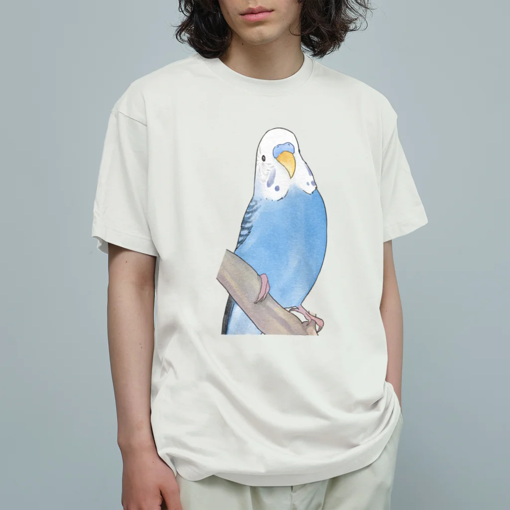 まめるりはことりのセキセイインコちゃんと止まり木【まめるりはことり】 オーガニックコットンTシャツ