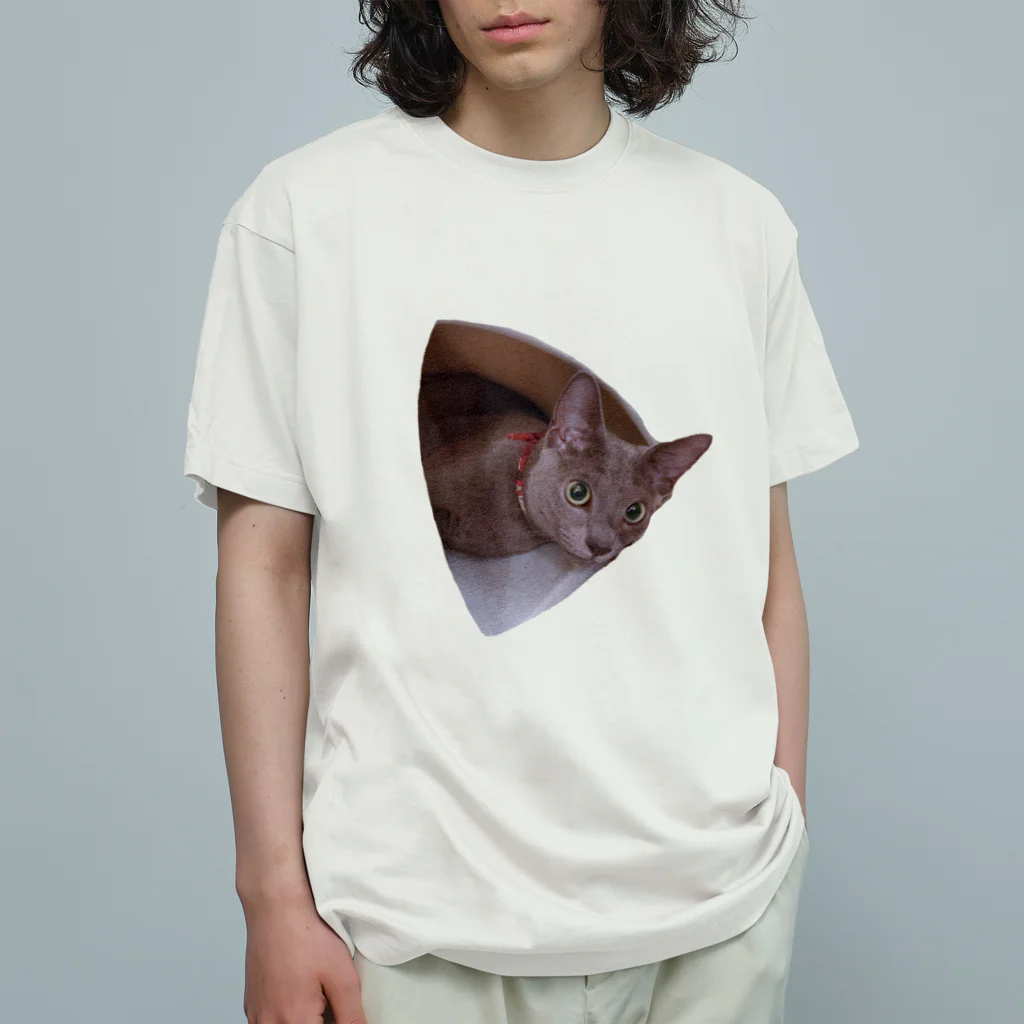 Vermeer-ふぇるめーるのふぇるくん　ひょっこり オーガニックコットンTシャツ