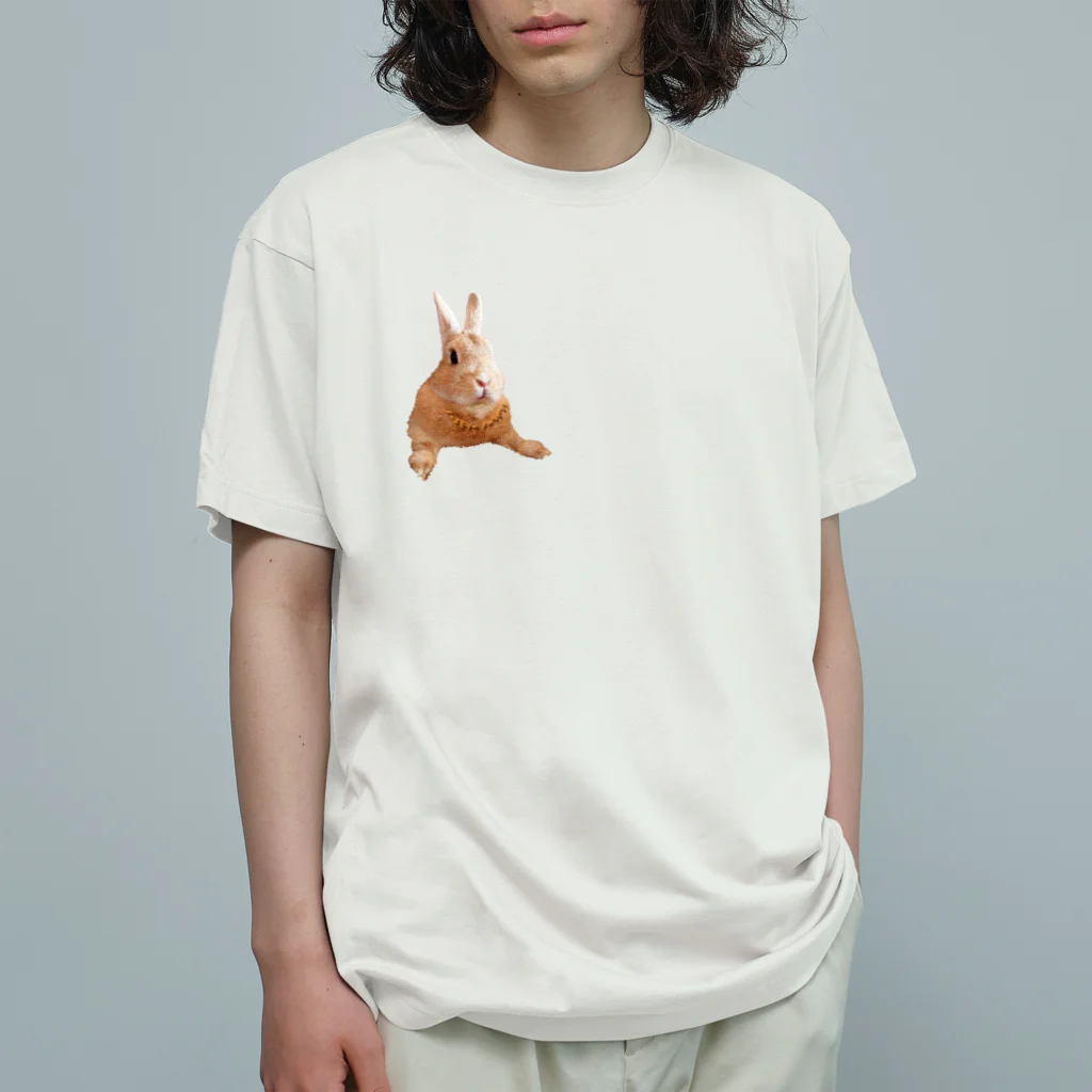 もちょのノーチモシー🌿ノーライフ！その２ オーガニックコットンTシャツ