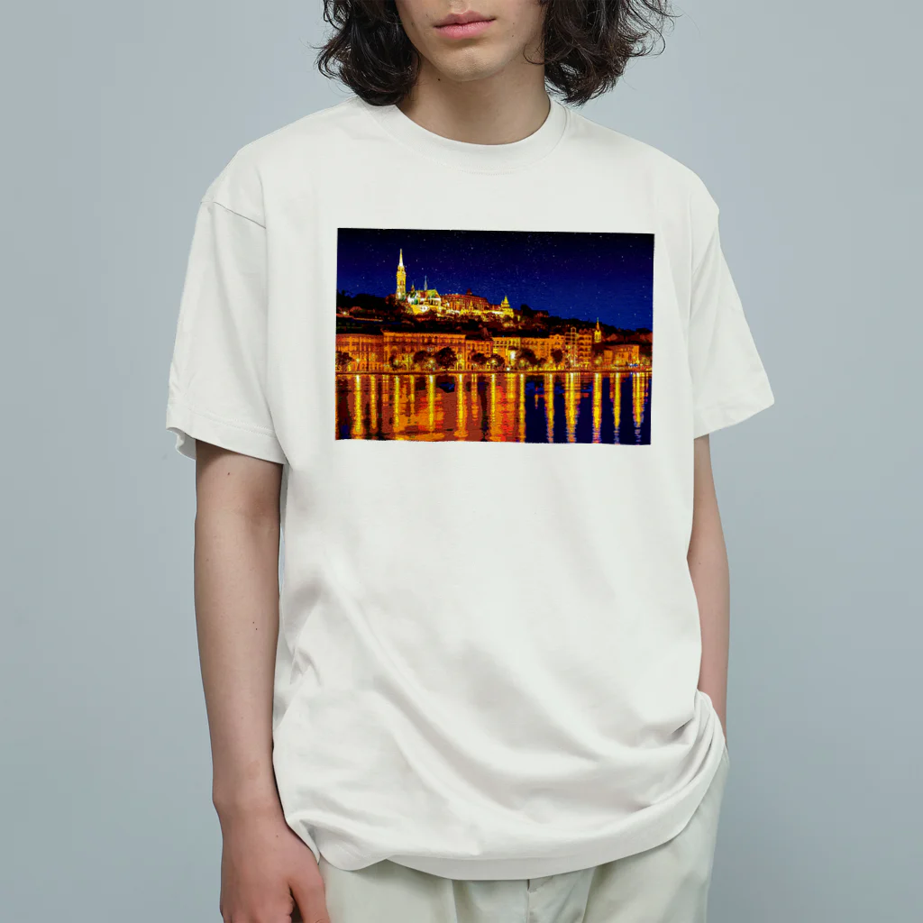 GALLERY misutawoのハンガリー ブダペストの夜景 オーガニックコットンTシャツ