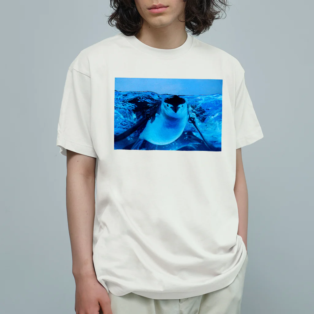 ペンギンの写真のヒゲペンギン　写真　リアル Organic Cotton T-Shirt