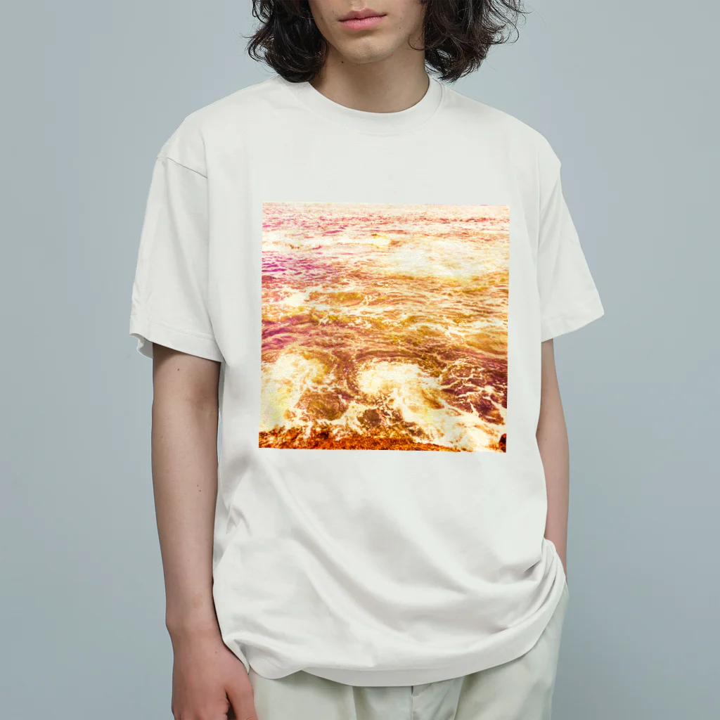 ＰａＮのNamiuchigiwa(4) Organic Cotton T-Shirt