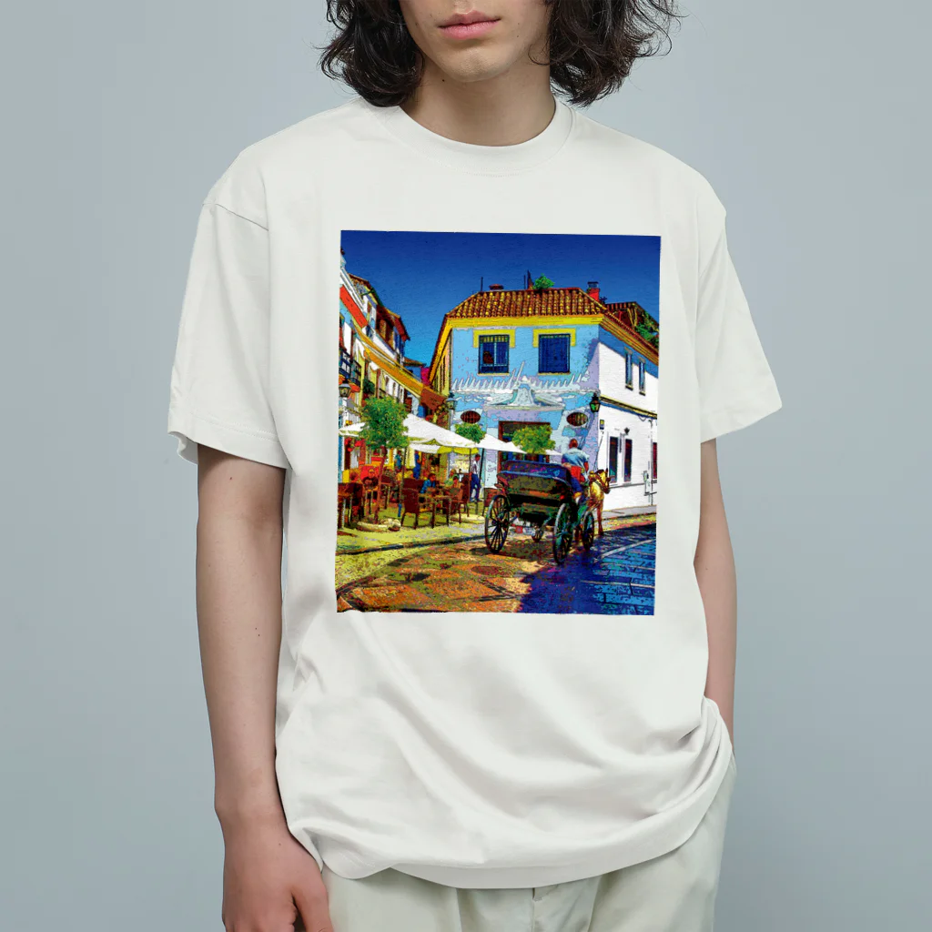 GALLERY misutawoのスペイン コルドバの街角 Organic Cotton T-Shirt