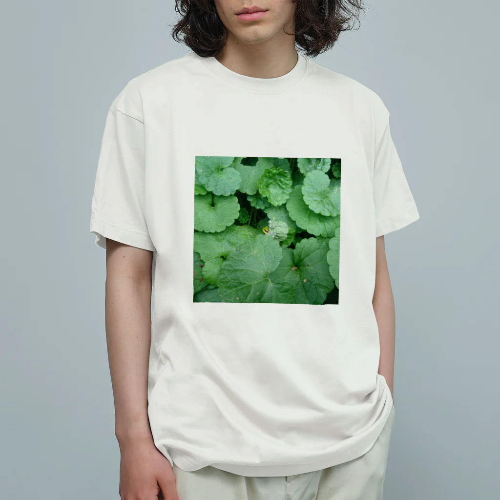 うつし堂のニホンアマガエル A Organic Cotton T-Shirt