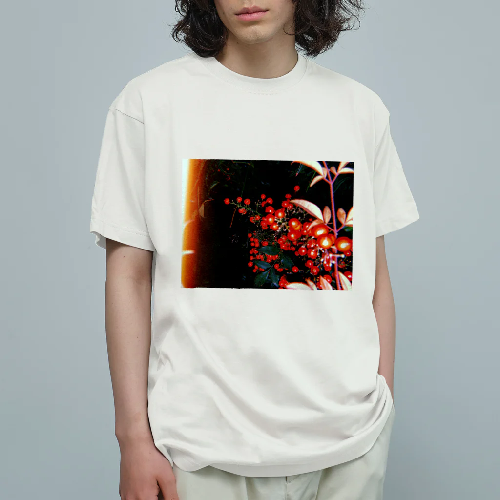 Kanamalandの真っ赤な実 Organic Cotton T-Shirt