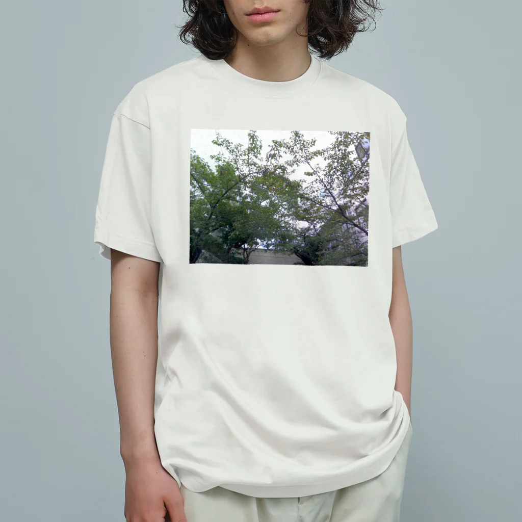 korineversの自然 オーガニックコットンTシャツ