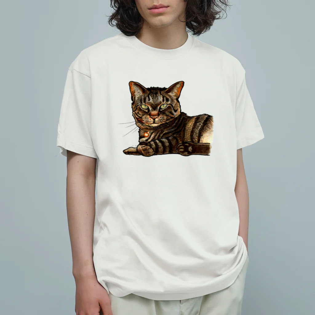 鼠の王国製作所のキジ柄の猫がこちらをみている オーガニックコットンTシャツ