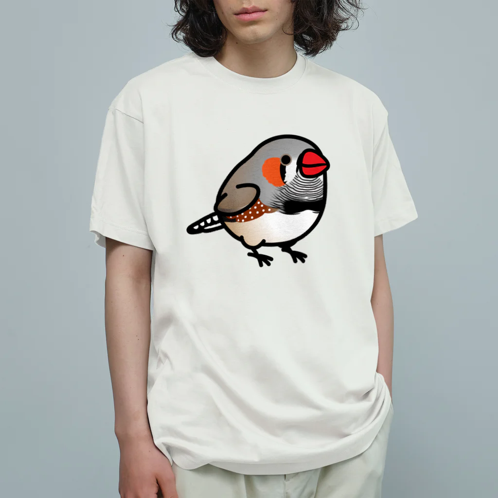 Cody the LovebirdのChubby Bird キンカチョウ オーガニックコットンTシャツ