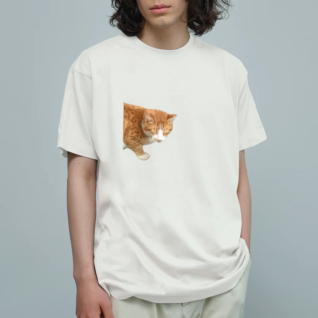 高橋のひょっこり猫 オーガニックコットンTシャツ