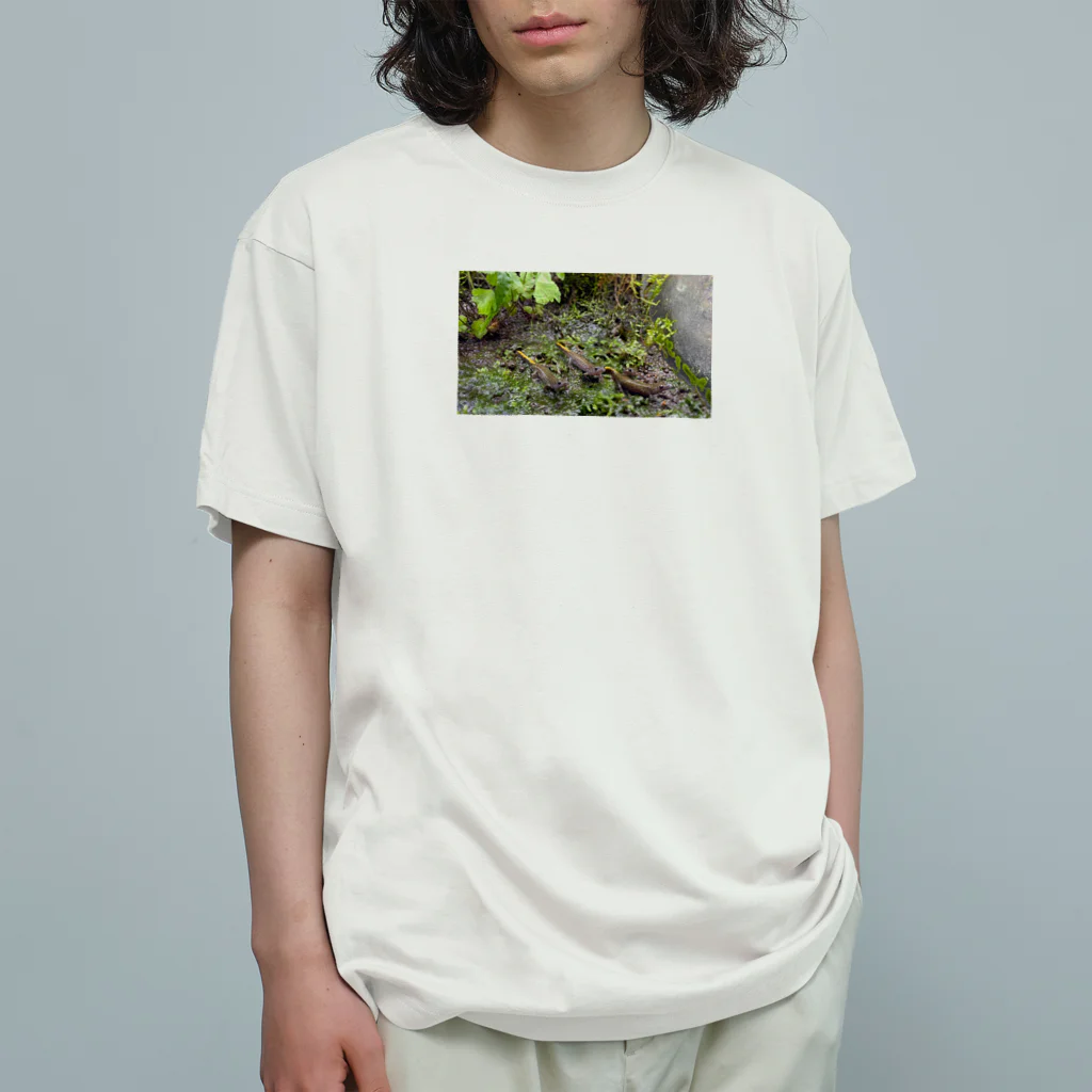 CRAYFISHのカスミん オーガニックコットンTシャツ