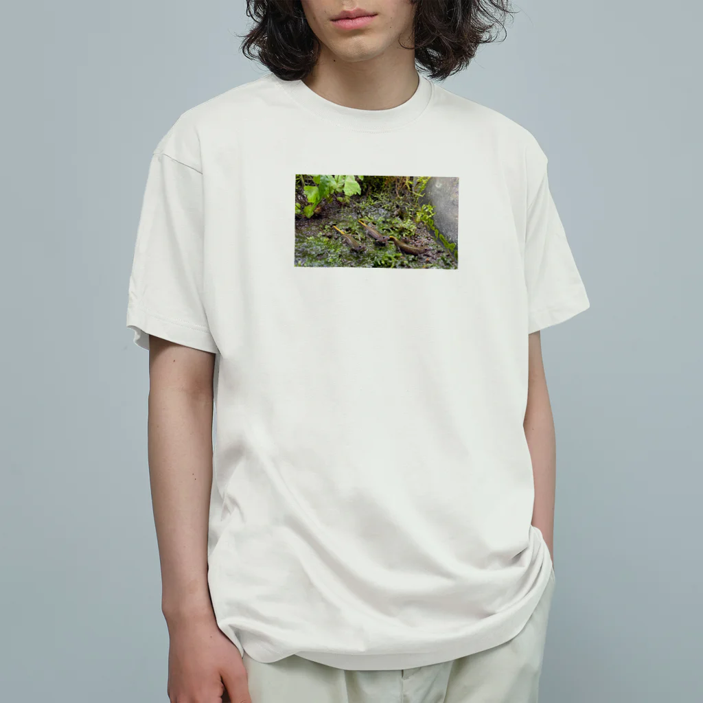 CRAYFISHのカスミん Organic Cotton T-Shirt