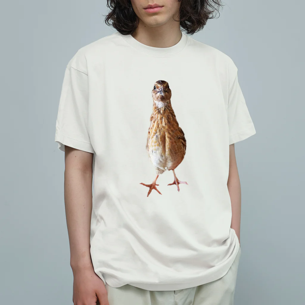 うずぴよの伸びるウズラ Organic Cotton T-Shirt