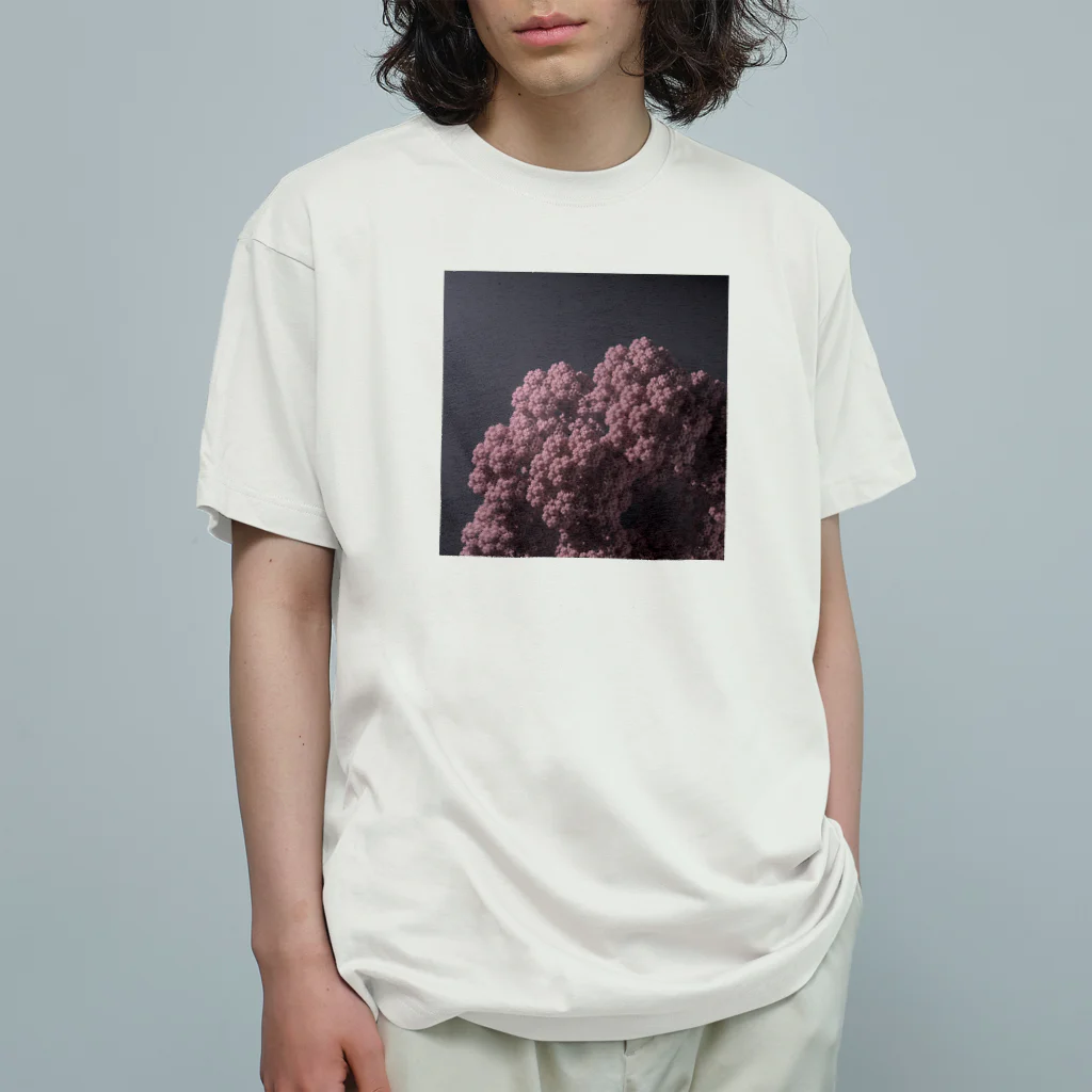 UGcgWorksのFractal Flower Organic Cotton T-Shirt