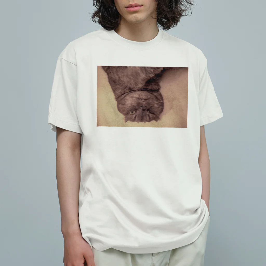 Lazycatのうちの猫ちゃん オーガニックコットンTシャツ