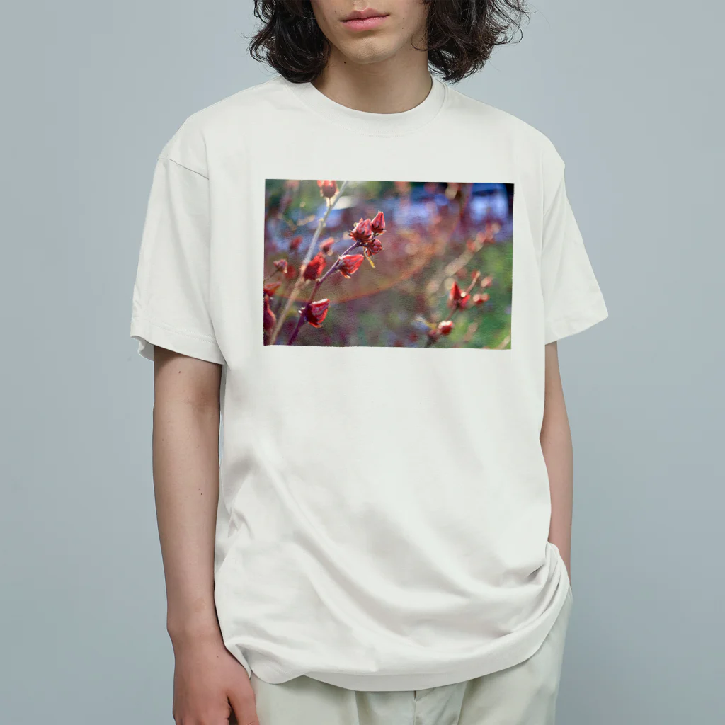 ハオハオのローゼル Organic Cotton T-Shirt