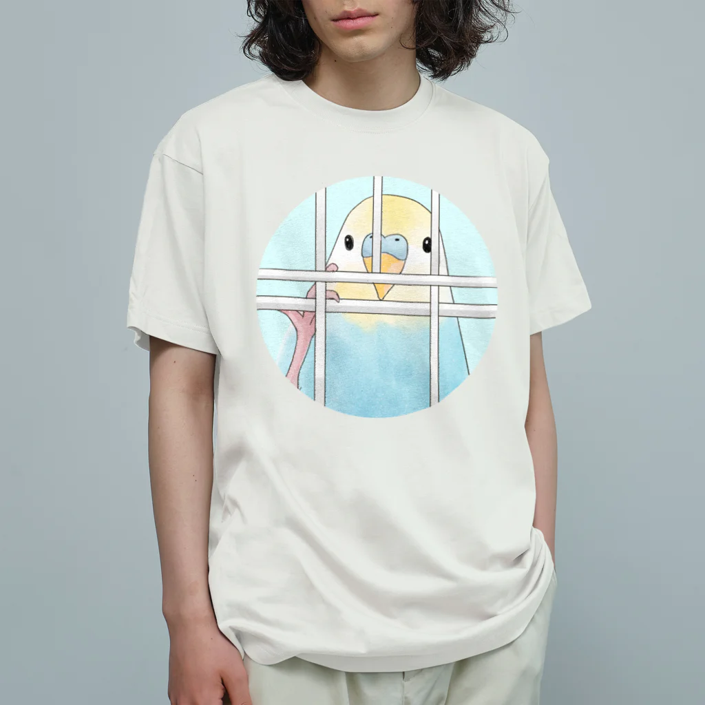 まめるりはことりの可愛いのぞき見セキセイインコちゃん【まめるりはことり】 オーガニックコットンTシャツ