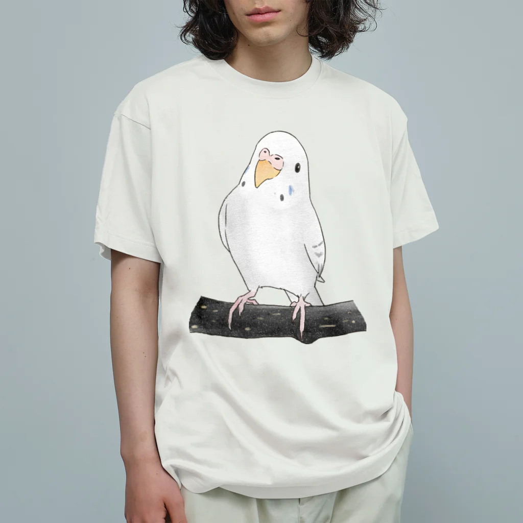 まめるりはことりのまったりセキセイインコちゃん【まめるりはことり】 オーガニックコットンTシャツ