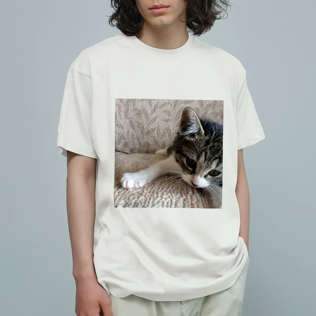 南の島のにゃんこのこねこのパル～南の島のにゃんこ～ Organic Cotton T-Shirt