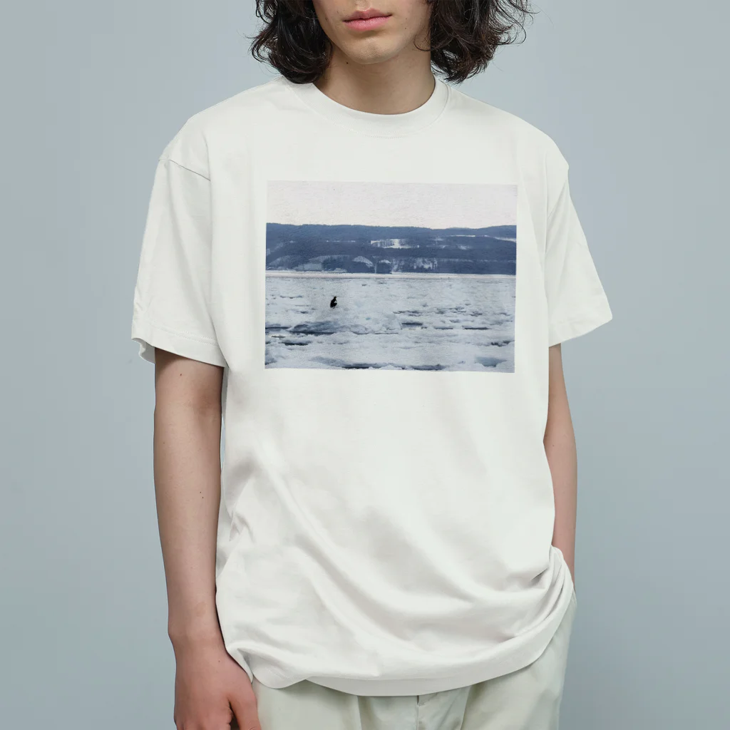 ハチドリ販売所の流氷と鳥 オーガニックコットンTシャツ