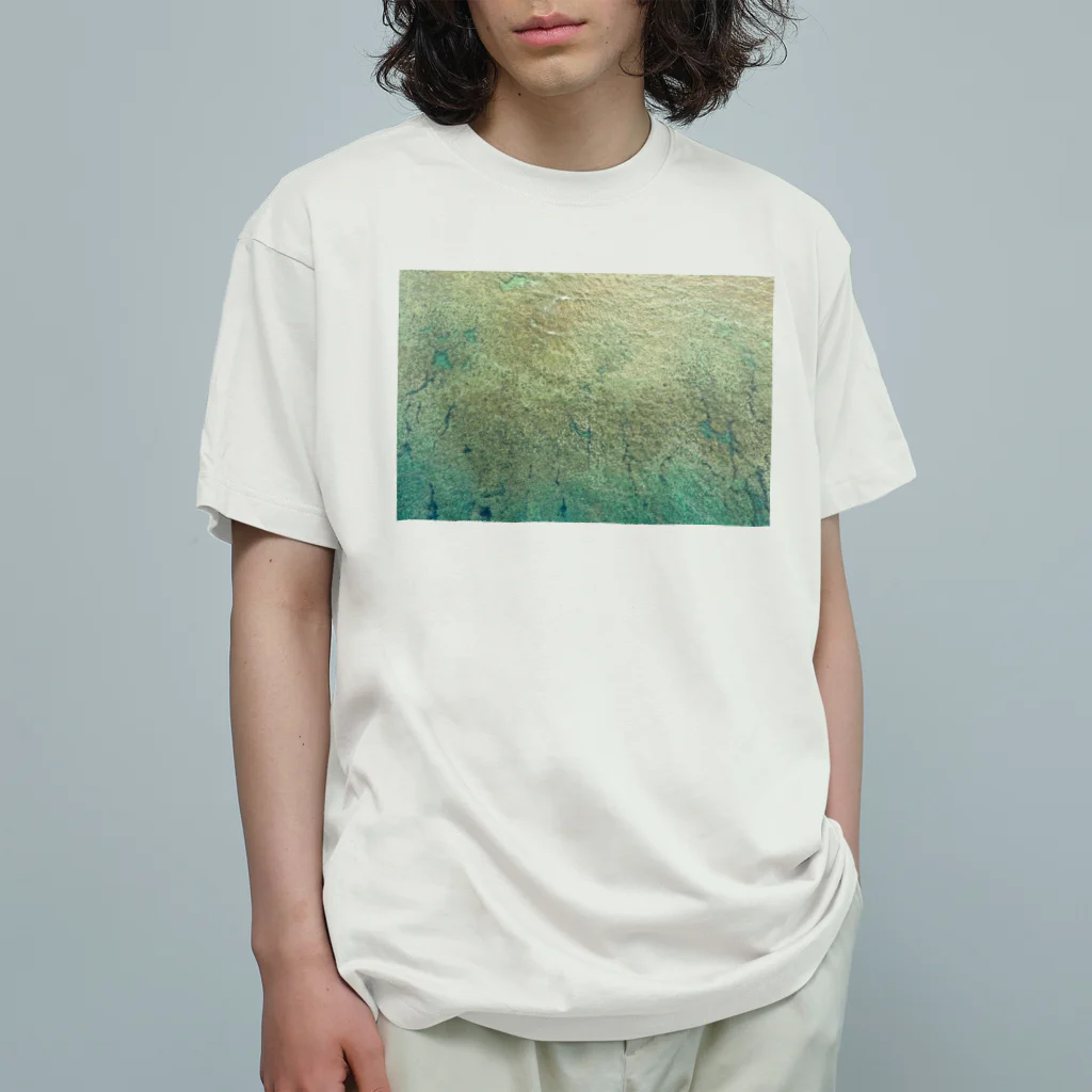 coyote brandのcoyote brand Drone shot T-shirts Organic Cotton T-Shirt