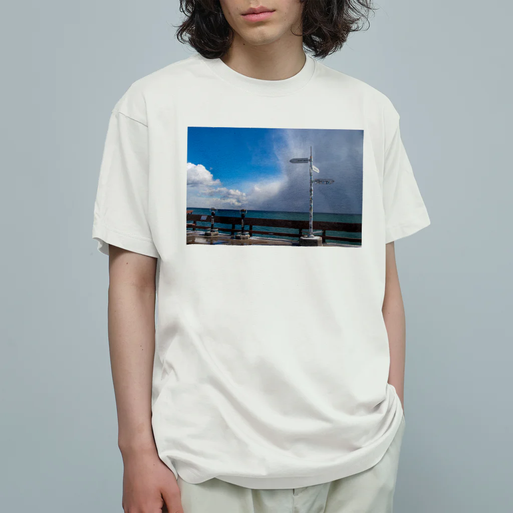 SURFのTronto is here オーガニックコットンTシャツ