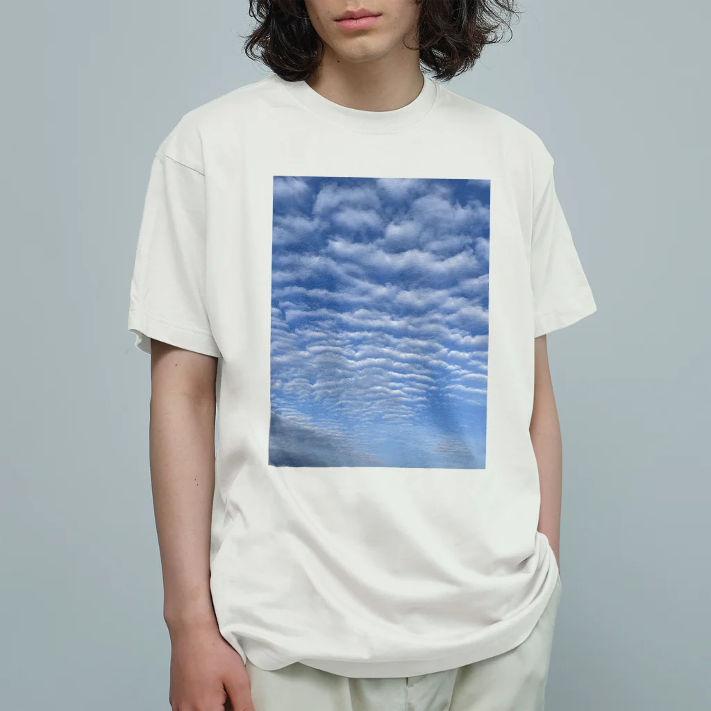 Rice Cube Dominoの春空 オーガニックコットンTシャツ