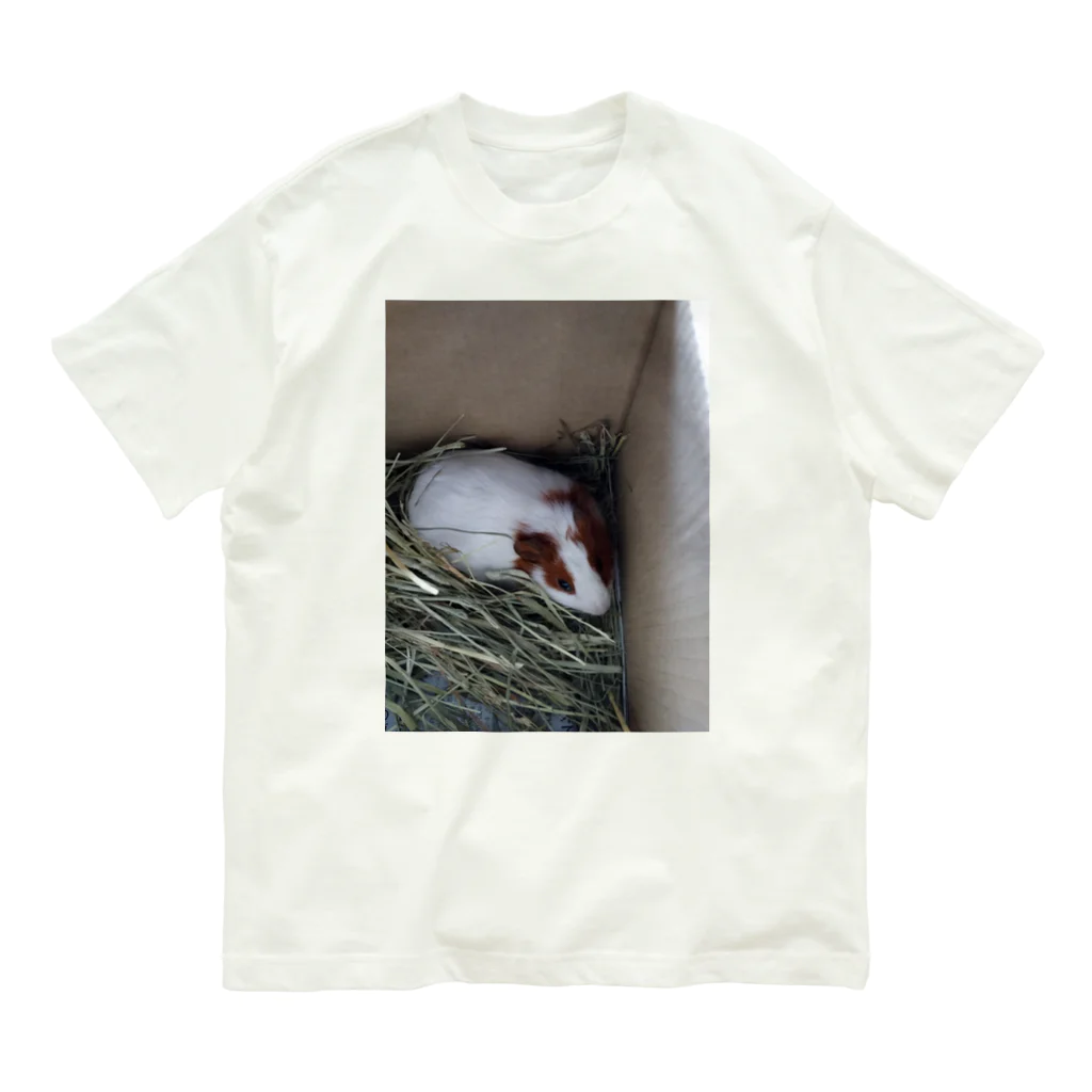 Milkoftheguineapigのモルモットのイヴさん オーガニックコットンTシャツ