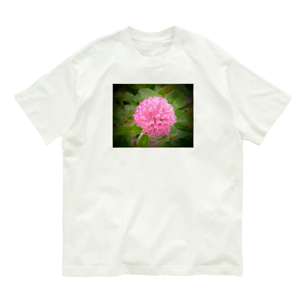 solabuluの春ぼんぼり Organic Cotton T-Shirt