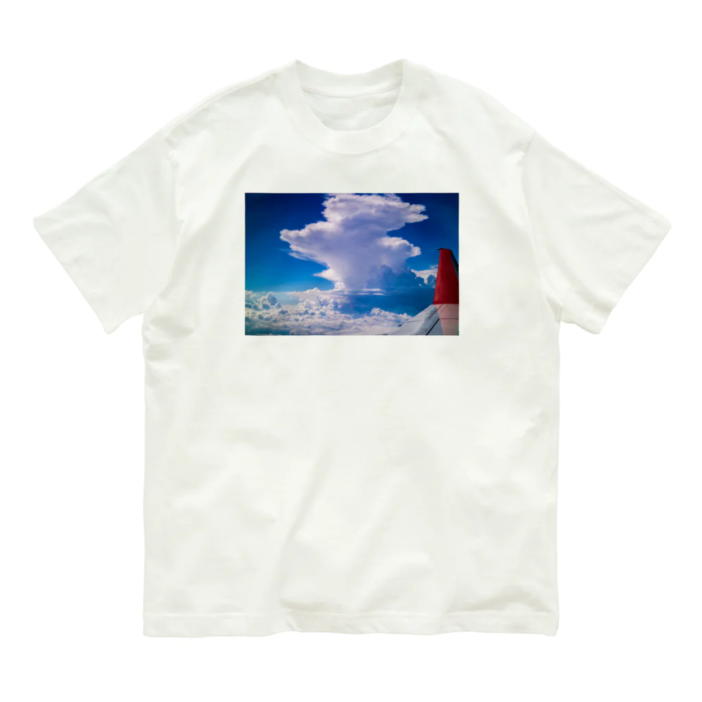 Un-Obliviateの夏嵐 オーガニックコットンTシャツ