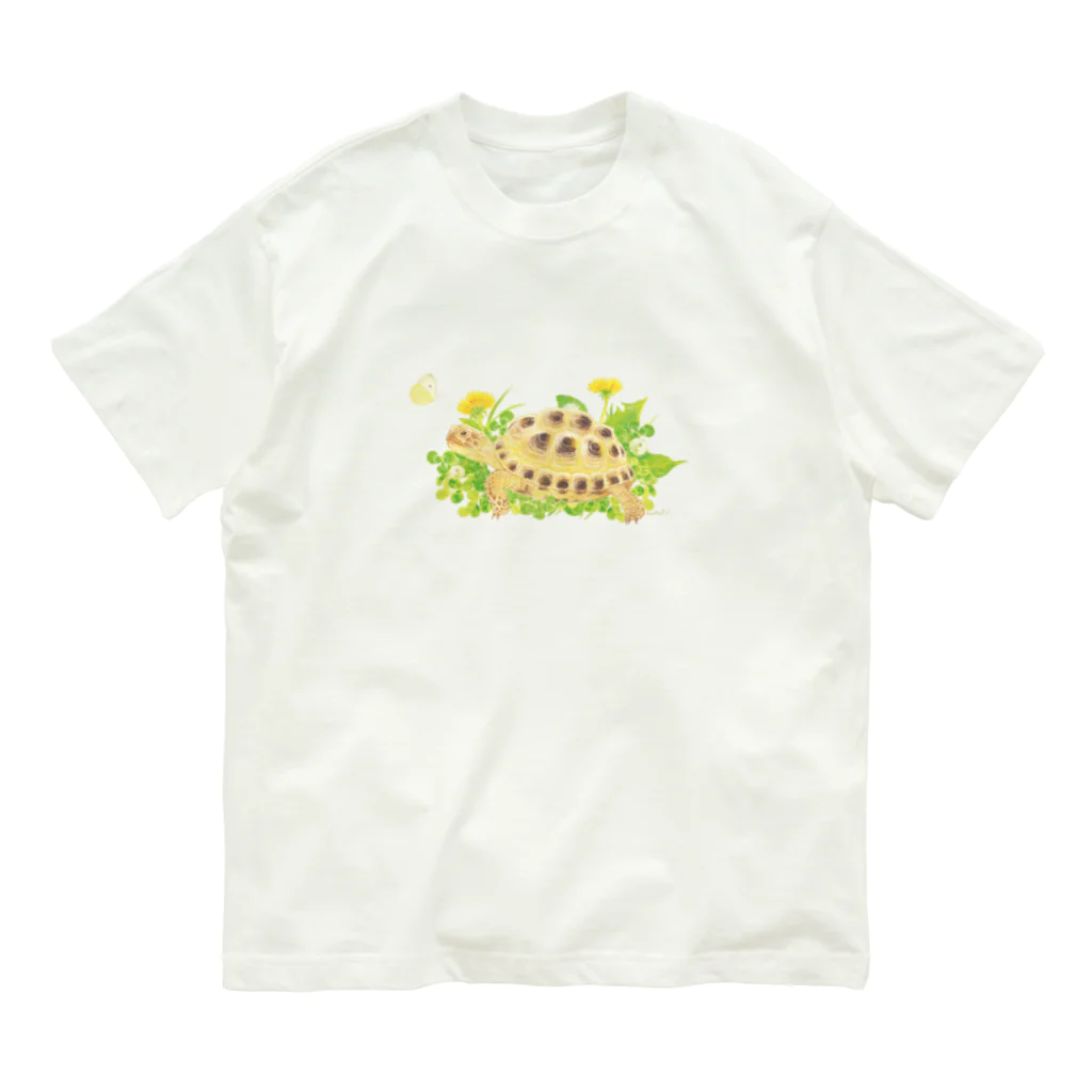 めろんぽっぷのお店だよのたわむれ　ヨツユビリクガメ オーガニックコットンTシャツ