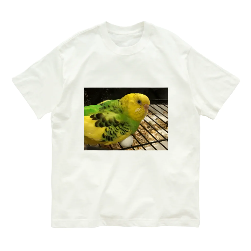 カエルのインコ　ああねむ〜 Organic Cotton T-Shirt