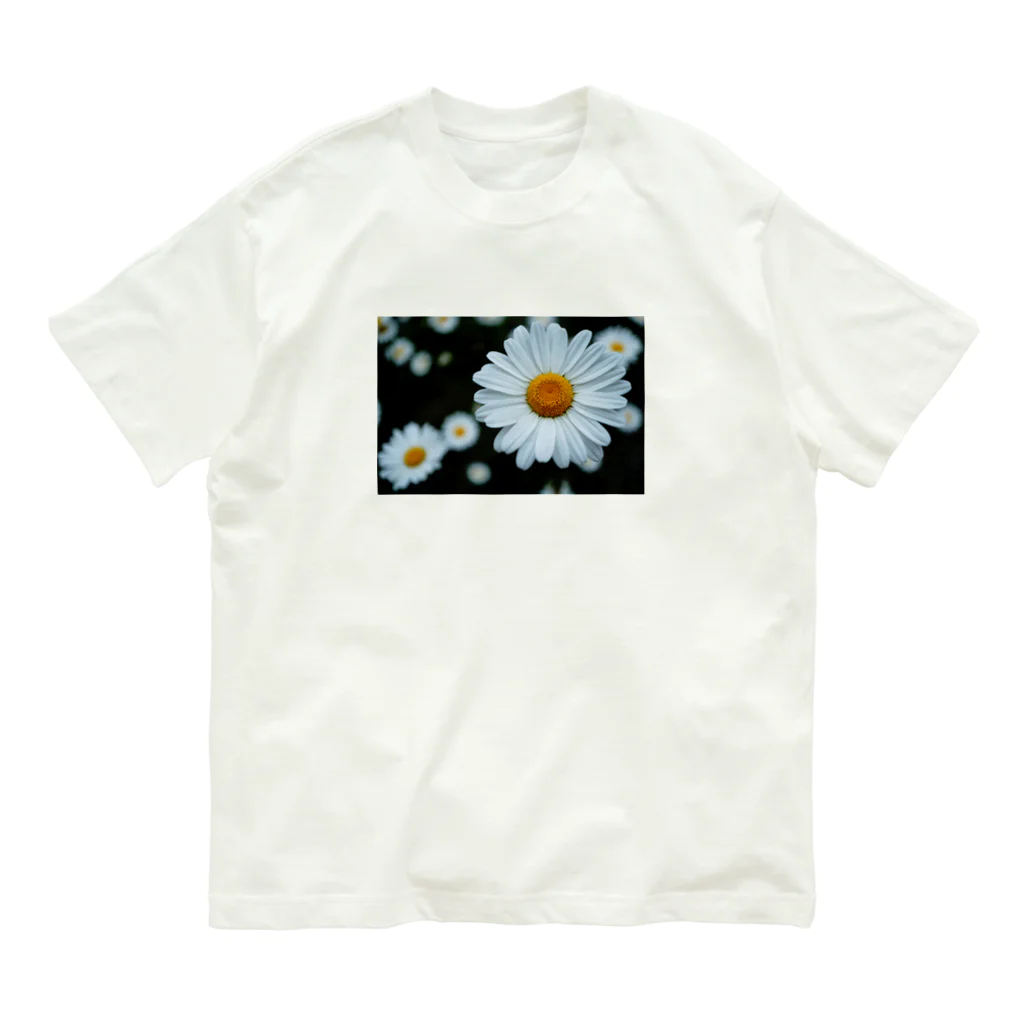 Petal N' FeatherのShambara オーガニックコットンTシャツ