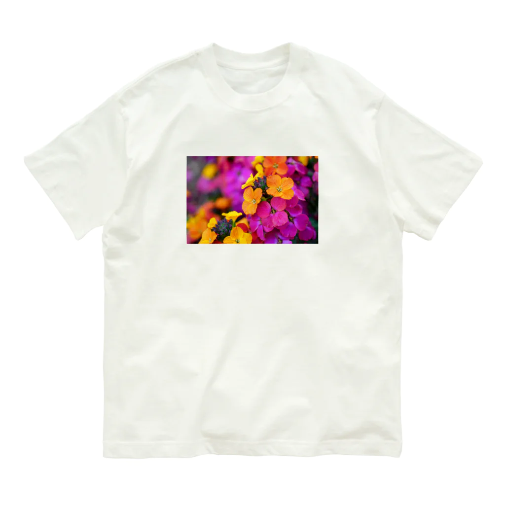 Petal N' Featherの常夏の春 オーガニックコットンTシャツ